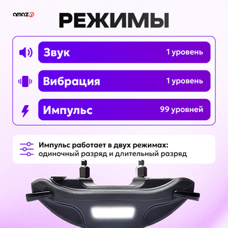 Электронный ошейник для собак DT4200