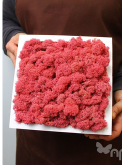 Живая Эко-Картина 1076