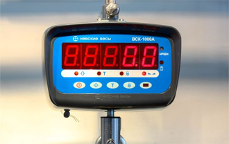Весы крановые электронные ВСК-1000А