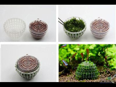 Декорация для мха Moss Ball (полусфера)