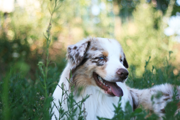 MOONBABY’S FIRE SKY / Фаер /, mas