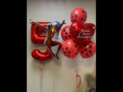 Набор шаров Леди баг