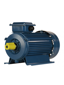 Электродвигатель 5АИ 90LA8 (0,75 кВт)