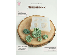 Молд  "Лишайник"