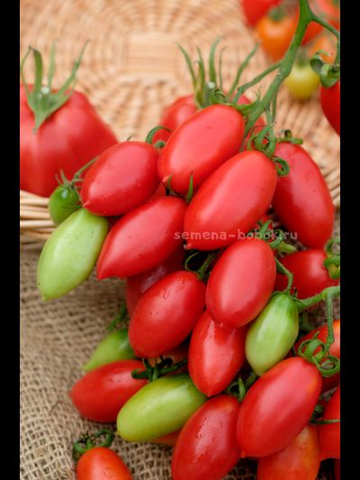 Томат Килечки, 10 шт