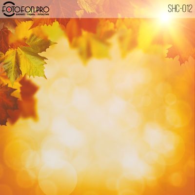 Фотофон виниловый «Осеннее солнце»