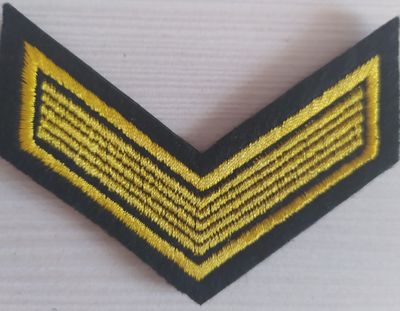 Государственное и муниципальное управление. Гос и муниципальное управление. Государственное и муниципальное управление специальность. Курсовки курсантов вмф ссср. Алтгу факультеты.