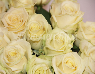 "Атлант" - букет из 19 белых роз.