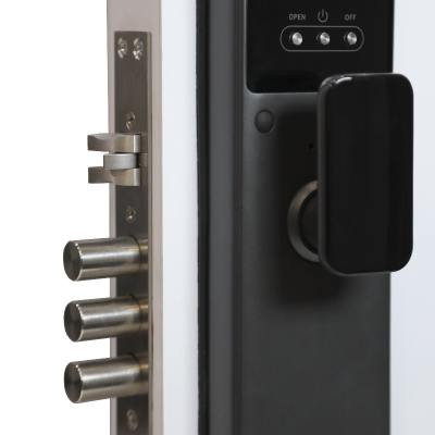 Электронный замок Smart lock DZ21Pro