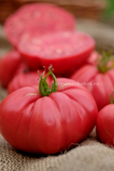 Томат Чалма Агры, 10 шт