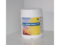 Belga Super Fit(суперкомбинация из витаминов, микроэллементов ,аминокислот ,электролитов ,глюкозы и пивных дрожжей) 500 гр.
