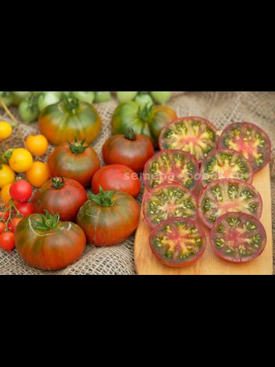 Томат Dwarf Red Viper (Гном красная Гадюка), 10 шт