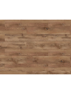 Дуб Эдинбург 47724