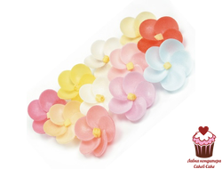 Вафельные цветы Флоксы, 5 шт.