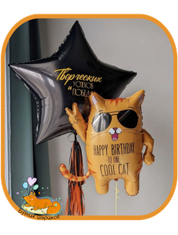 Кот и звезда с любой надписью