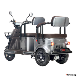 Электротрицикл Wanshida U1-X 60V 800Вт серый