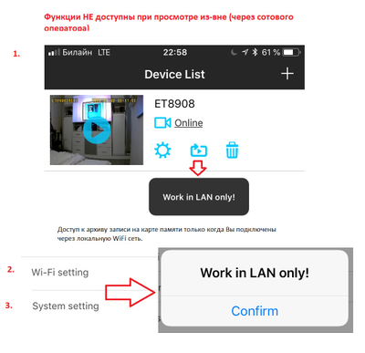 Охранная IP WiFi-LAN видеокамера с ночным видением и аудиоканалом (корпус ИК датчика), встроенный DVR. HD