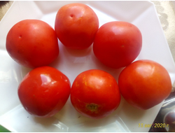 Томат Демидов