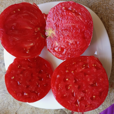 Томат Немецкий красный бабушки Кентрел (Granny Cantrell’s German), Канада