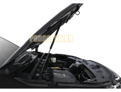 Амортизаторы капота АвтоУПОР (2 шт.) Toyota Highlander 2020-