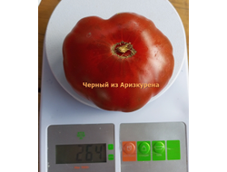 Томат Черный из Аризкурена (Negro de Aritzkuren)