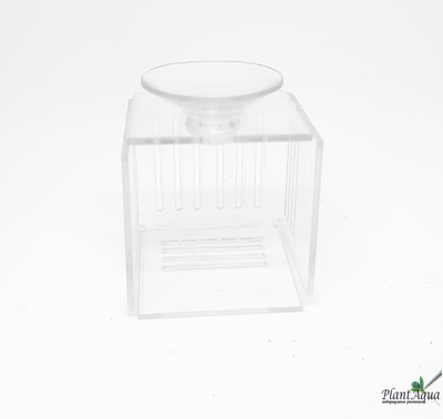 Горшочек для растений на присоске 40x40x40 мм