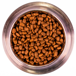 Monge Mini Adult (Монж) для взрослых собак мелких пород, из курицы с рисом 3 кг