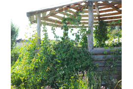 Аренда беседки с мангалом