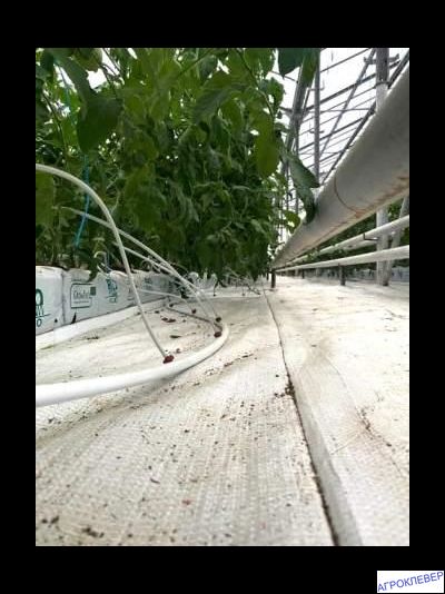 Трубка ПВХ 3х5 (100м) белая