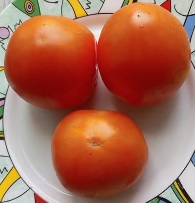 Томат Техас