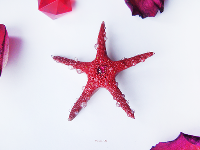 Морская брошь "Звезда ундины"