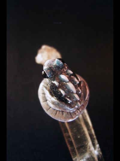 "Каменная Драконья Лягушка", кольцо в стиле фэнтези