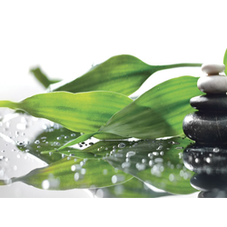 ШМП035 Панель SP0 66. Размер: 2800х610х6.