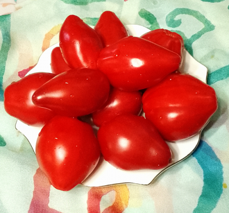 Семена томата Десперадо Гном