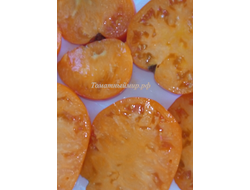 Томат Японское томатное дерево (Japanese tomato tree)