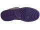 Nike Air Force 1 SB Dunk Purple Pigeon