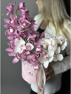 Композиция из  ОРХИДЕИ