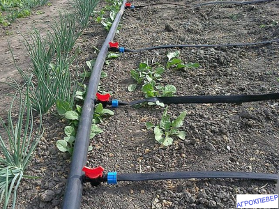 Кран стартовый для капельной ленты с поджимом и уплотнителем (SKY)