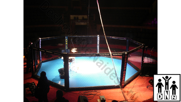 октагон ринг