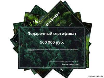 Подарочный сертификат на приобретение и посадку растений