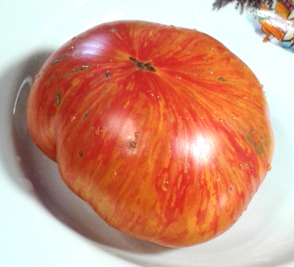 Семена томата План 9 из открытого космоса