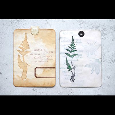 ФП  штамп "Папоротник серебристый"