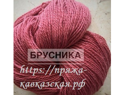 Кавказская пряжа в две нити кручения брусника