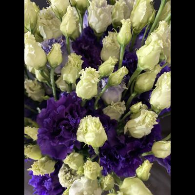 Эустома 25 шт