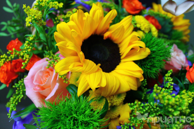 ЦВЕТОЧНАЯ КОМПОЗИЦИЯ № 143