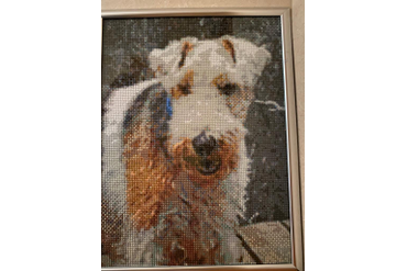 Алмазная мозаика 30х40