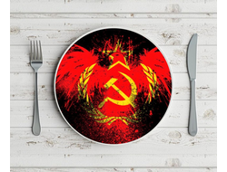 Тарелка СССР №5