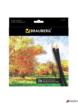 Карандаши цветные BRAUBERG «Artist line», 24 цвета, черный корпус, заточенные, высшее качество. 180565