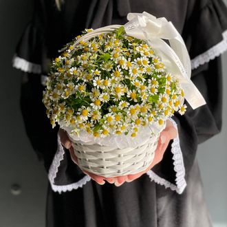 КОМПОЗИЦИЯ В КОРЗИНЕ ИЗ МАЛЕНЬКИХ РОМАШЕК -(АРТ. М2)