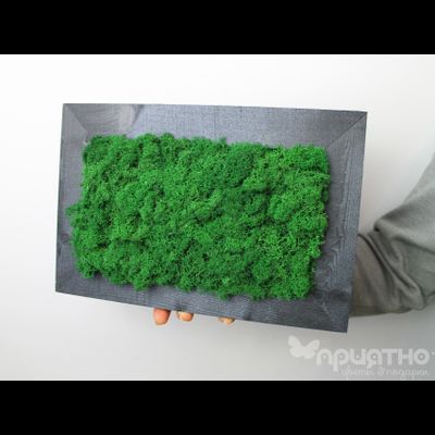 ЖИВАЯ ЭКО-КАРТИНА 1050